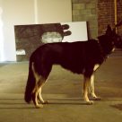 Photos montage Transition 2013