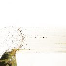 Transition : Du son à l'image. Présentation 1