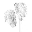 Transition : Du son à l'image. Présentation 4