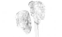 Transition : Du son à l'image. Présentation 4