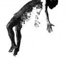 Transition : Du son à l'image. Présentation 1