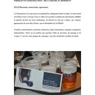 Exposition Portrait en soustraction : de la figure au référent, CNE de Jonquière, novembre 2014