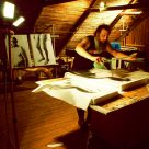 Genèse de l'exposition Diagnostics, Centre Bang, Espace Virtuel, 2016