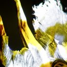 Exposition Espaces pigmentés, Langage Plus, Alma, 2017