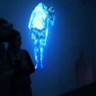 Exposition Espaces pigmentés, Langage Plus, Alma, 2017