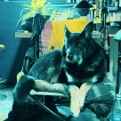 Genèse de l' exposition ÉCHO, K8, Jonquière, mai 2020