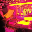 Genèse de l' exposition ÉCHO, K8, Jonquière, mai 2020