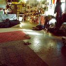 Genèse de l' exposition ÉCHO, K8, Jonquière, mai 2020