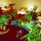 Genèse de l'exposition Équilibre, K8, Jonquière, Octobre 2021