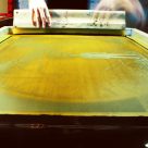 Genèse de l'exposition Cohésion, Centre national d’exposition, Jonquière, juillet 2024