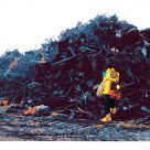 Exploration des réalités hybrides, où le Moi et l’autre Moi coexistent.