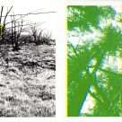 LIVRE D'ART : LA QUÊTE, exposition Incarnation, Trois-Rivières, 2025