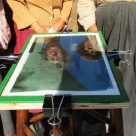 Résidence Une île-village, une traverse du temps, Caraquet, 2024