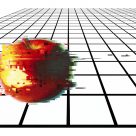 Relation des Hommes entre diverses réalités