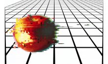 Relation des Hommes entre diverses réalités