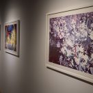 Exposition Amos